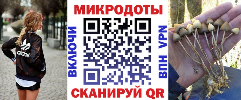 это Telegram даркнет сайт Алексеевка Галлюциногенные грибы Magic Shrooms